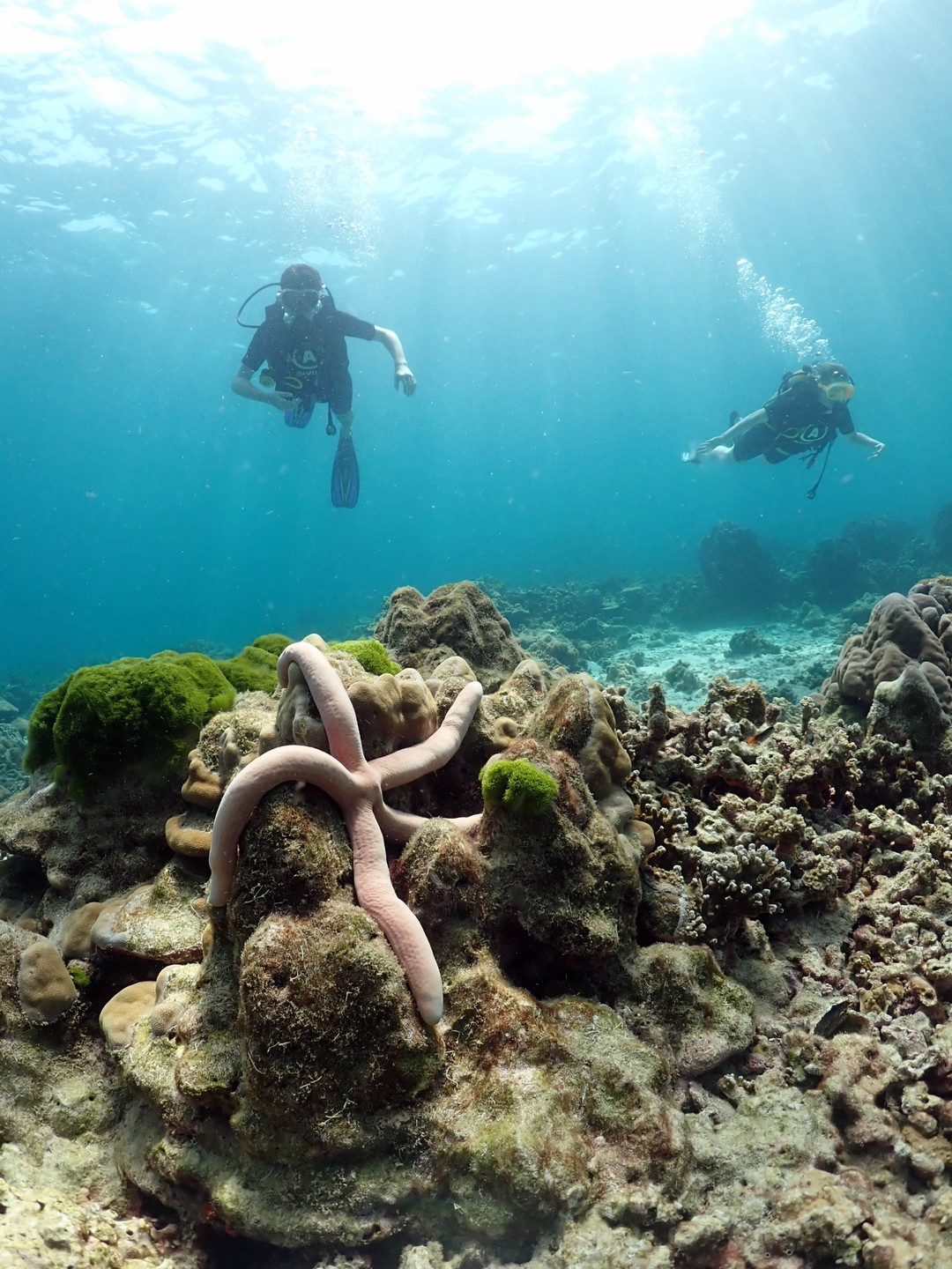 Нам очень понравилось. У нас был инструктор Антон - очень доброжелательный и заботливый