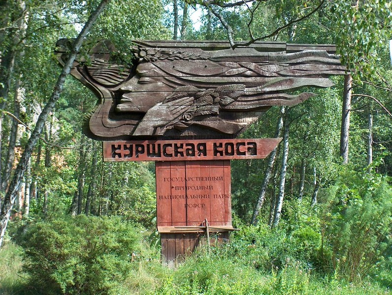 Фото 8 - Куршская коса для детей и взрослых
