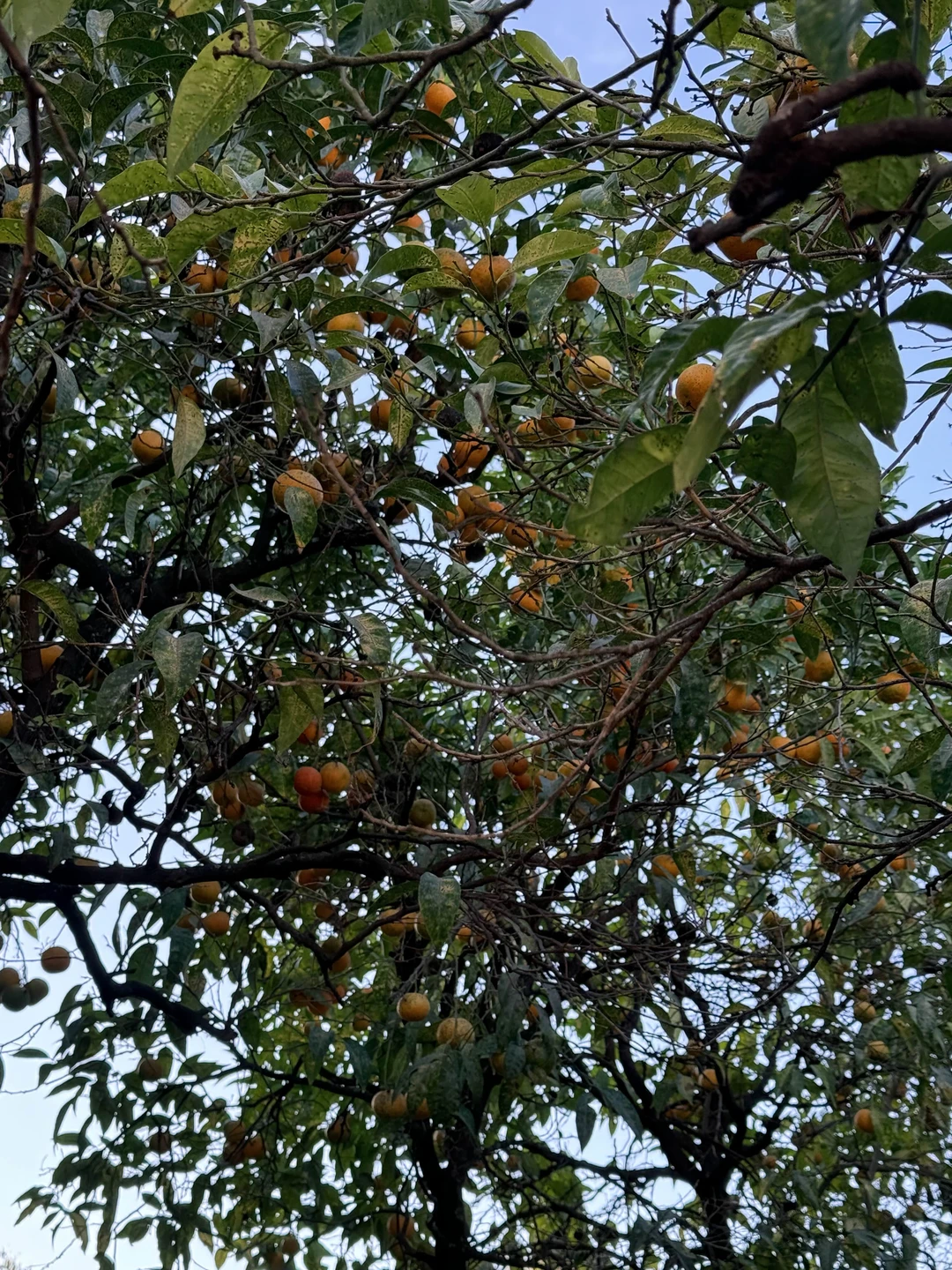 Экскурсия с Нелли была лучшим решением 👍🏻