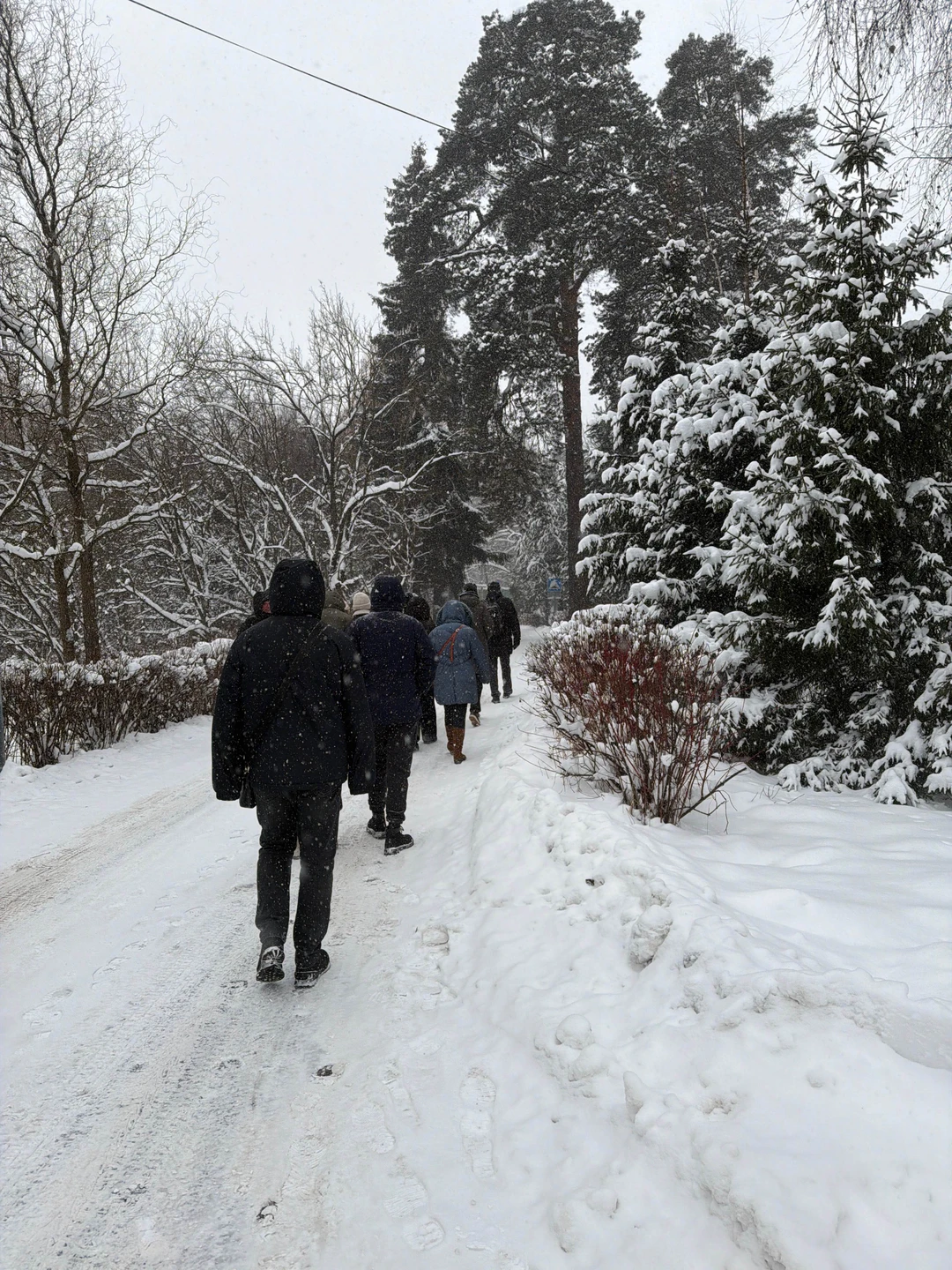 Литературное Переделкино (Елена)