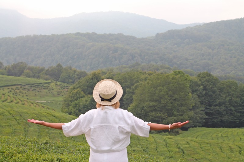 Фотопикник на чайных плантациях