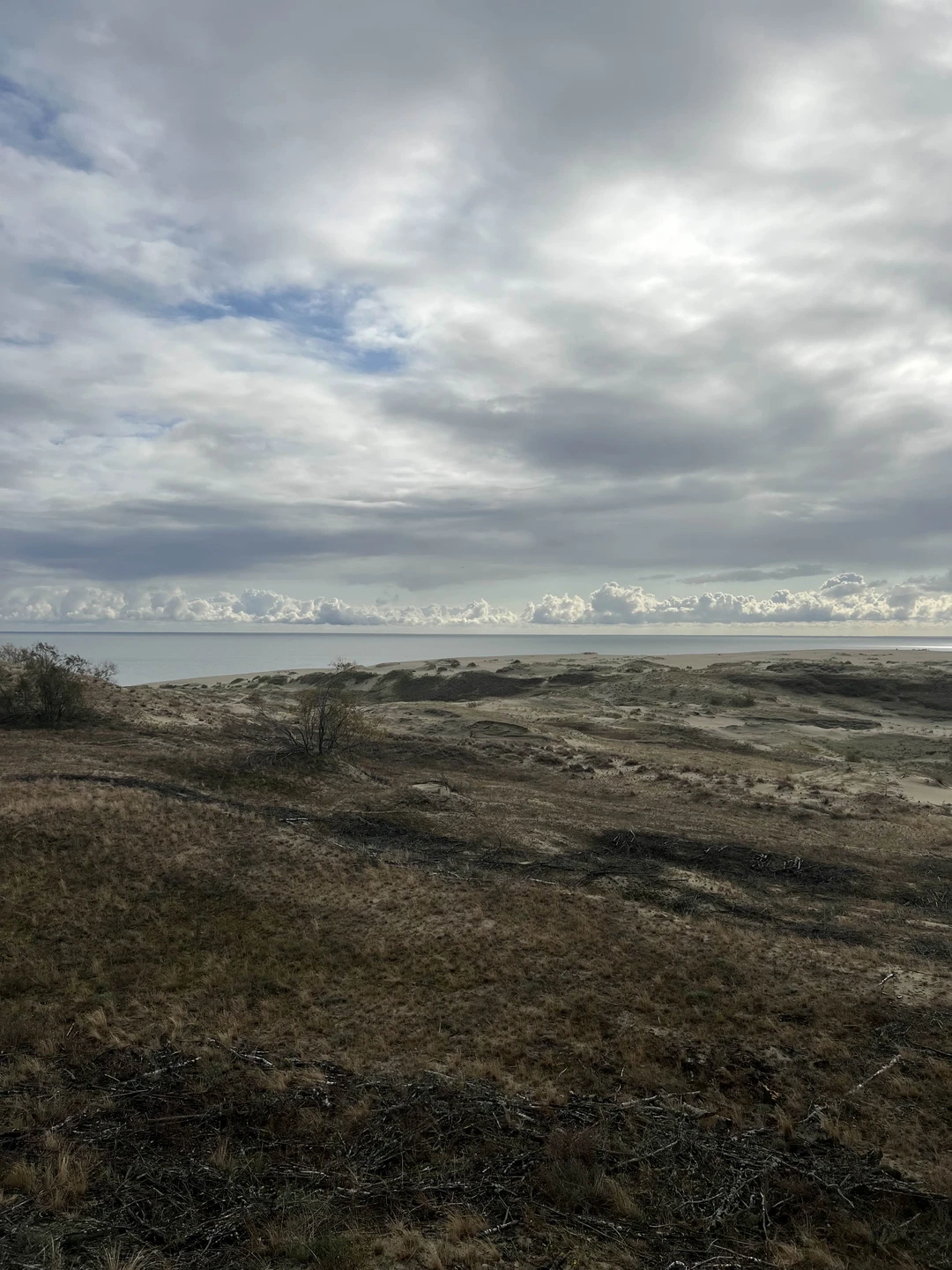 На Куршскую косу с опытным гидом - из Калининграда (Марина)