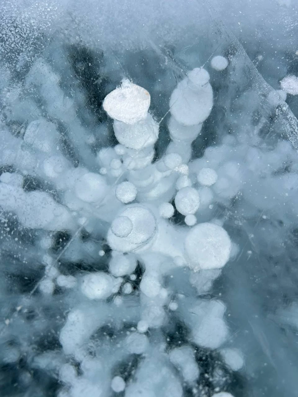 Перед бронированием все подробно узнали, Алина полностью ответила на все вопросы, забронировала для нас экскурсию. С