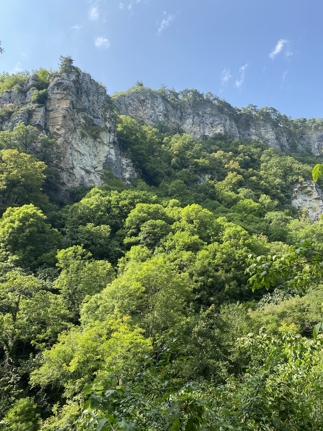 Большое спасибо Роману за такой интересный поход - прогулку. 7 часов с природой, в тихом лесу