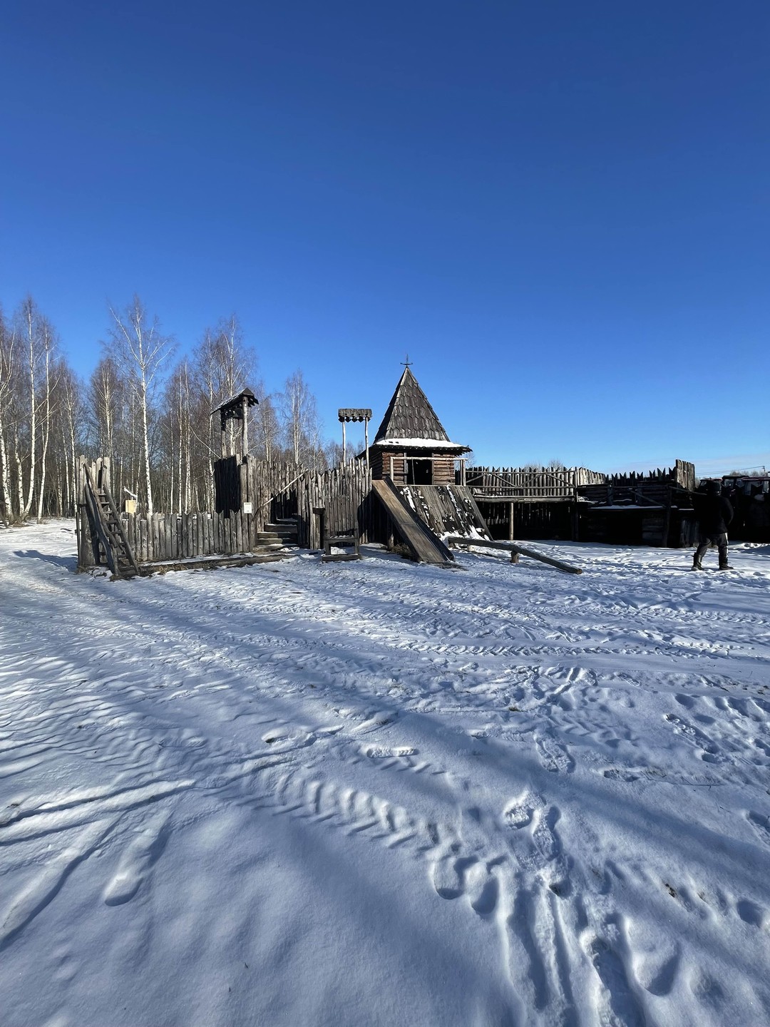 Фото отзыва 4: экскурсия "Сафари-экскурсия в олений парк"