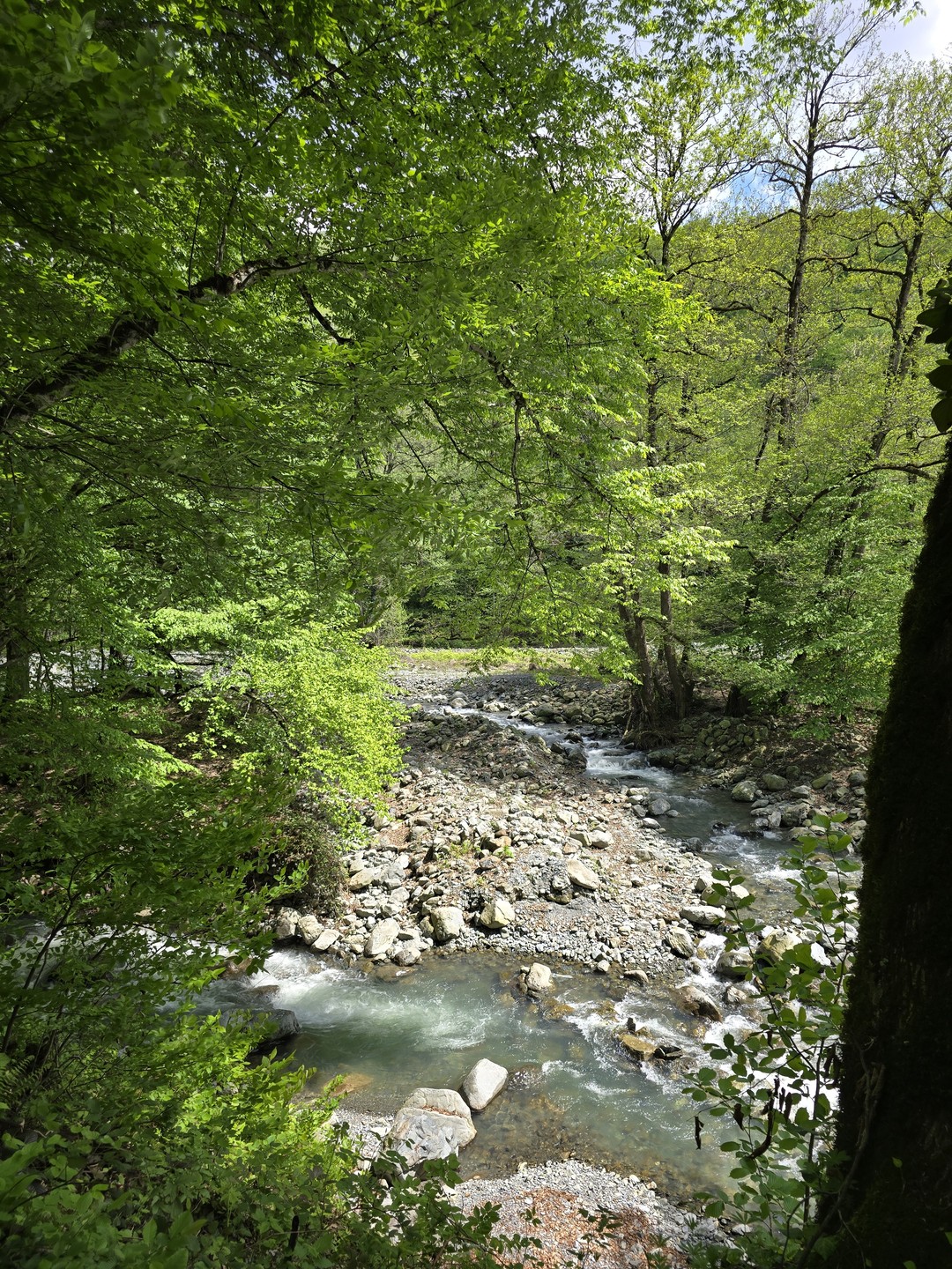 Экскурсия невероятная! Это именно то, что мы хотели! Дикая природа, не тронутая человеком. Наш гид Леван