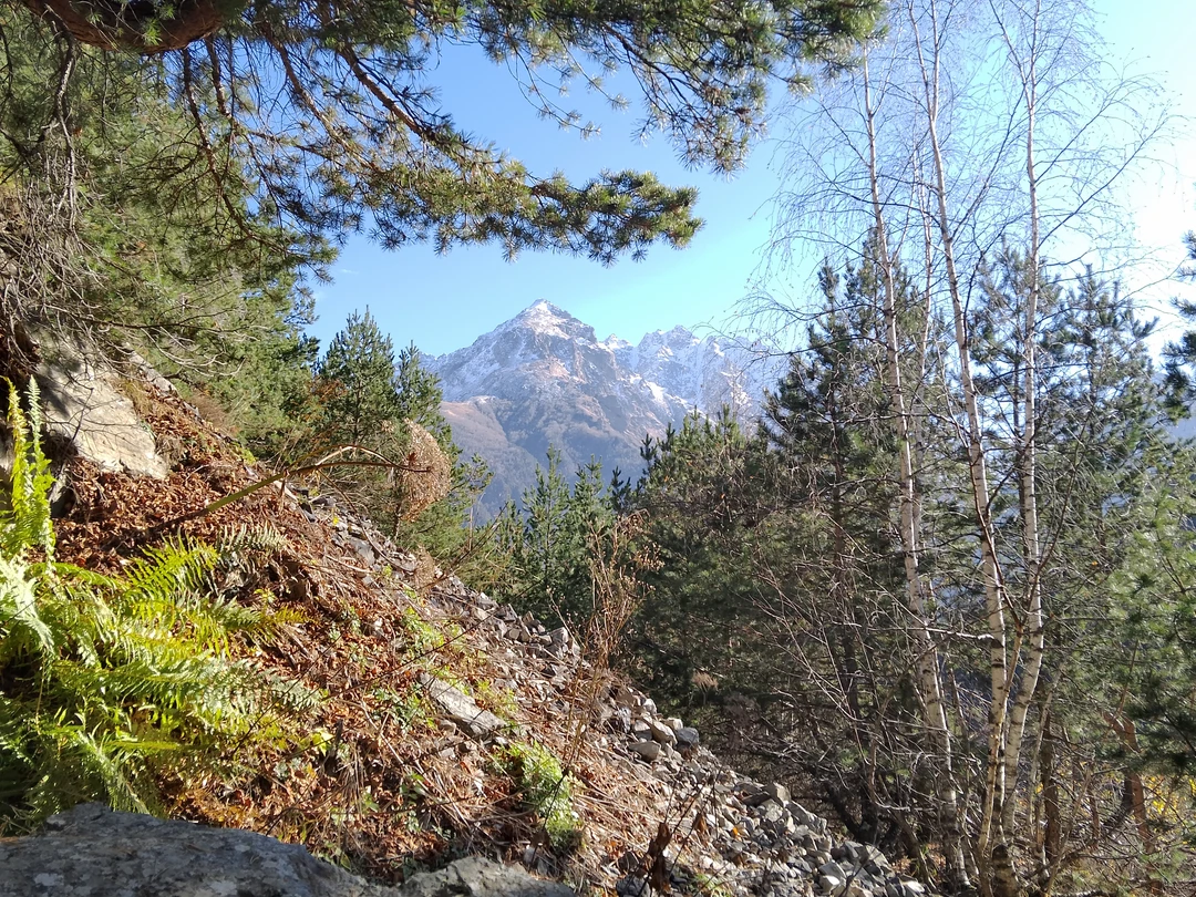 Дигорское ущелье одно из самых красивых мест в Северной Осетии - путешествовать по нему можно бесконечно