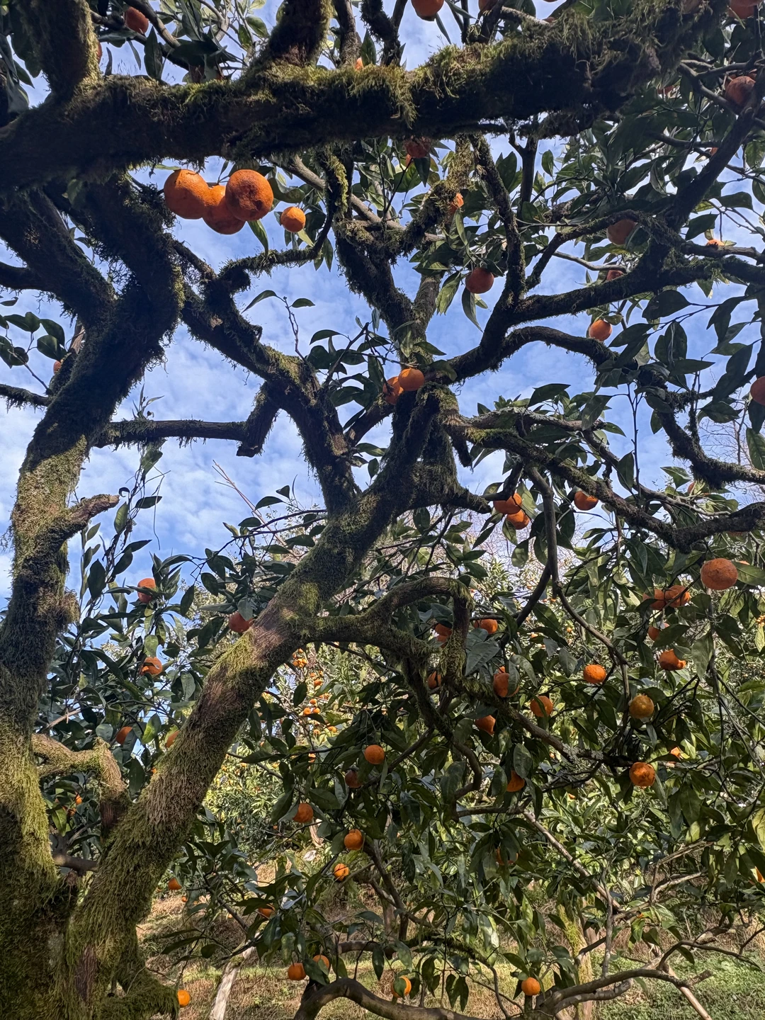 Это был просто невероятный опыт! Мы пришли втроём — я, моя мама и мой сын 12