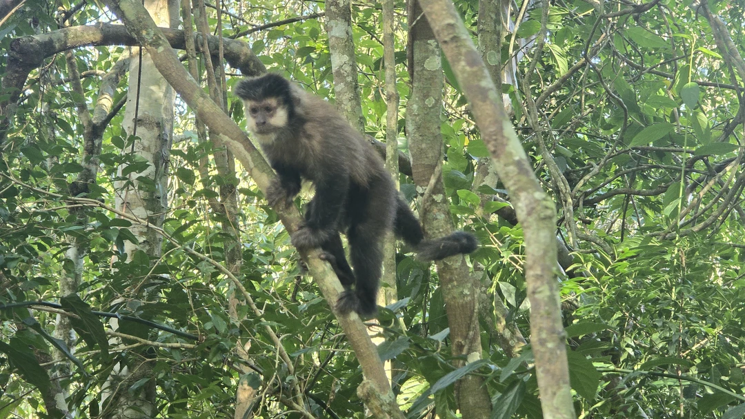 Иван отличный гид, заранее купил удобные билеты для перелета в Игуасу, был всегда на связи, дал