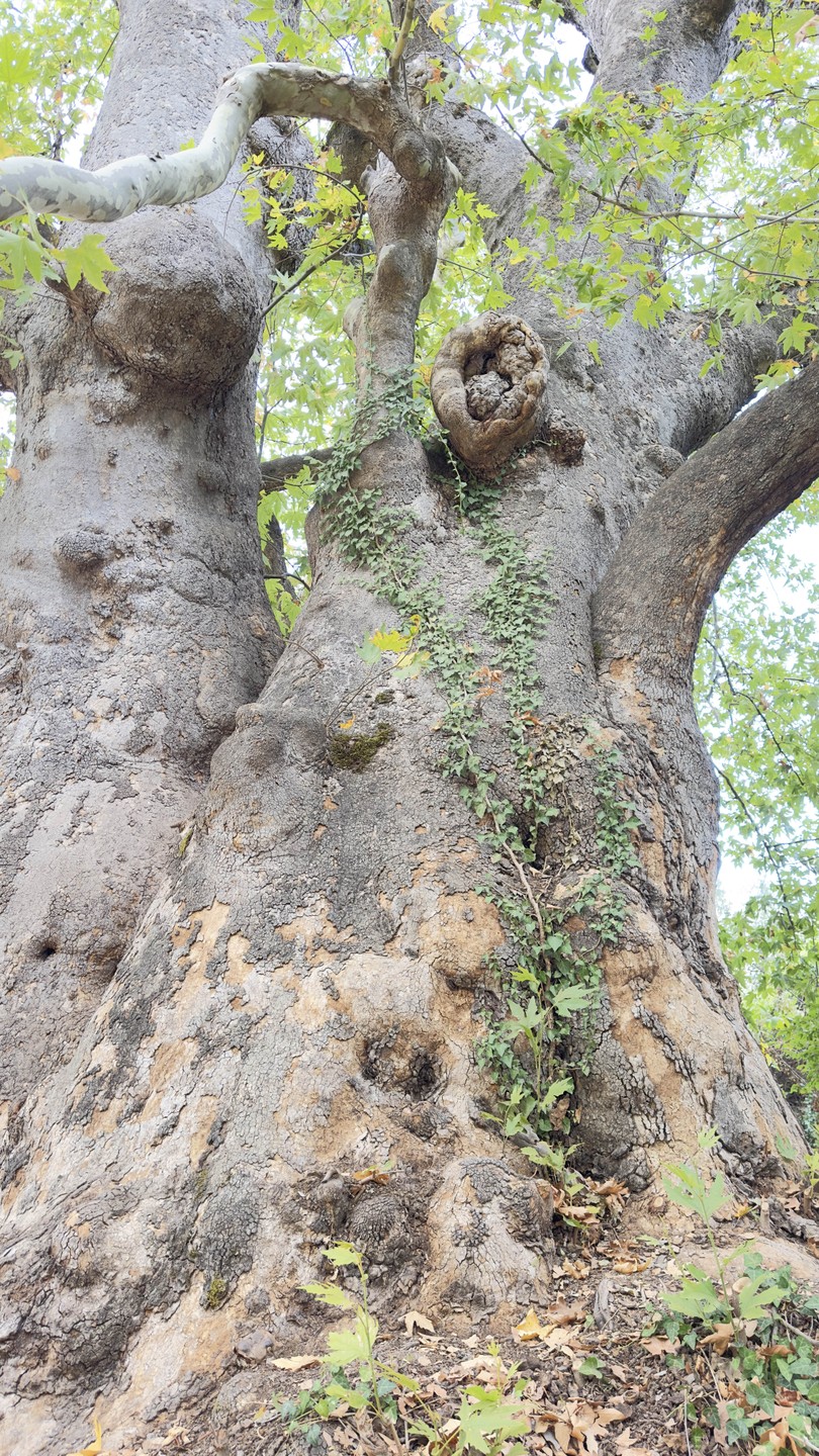 Великолепная экскурсия! Сам по таким местам никогда не поедешь. Возможность увидеть красоту и познакомится с бытом