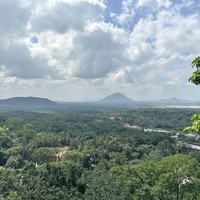 Фото отзыва 1: экскурсия "Must-see места Цейлона: Сигирия и Дамбулла"