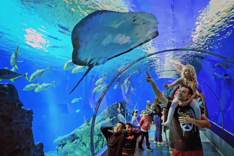 Поездка в океанариум Антальи - приключение для всей семьи