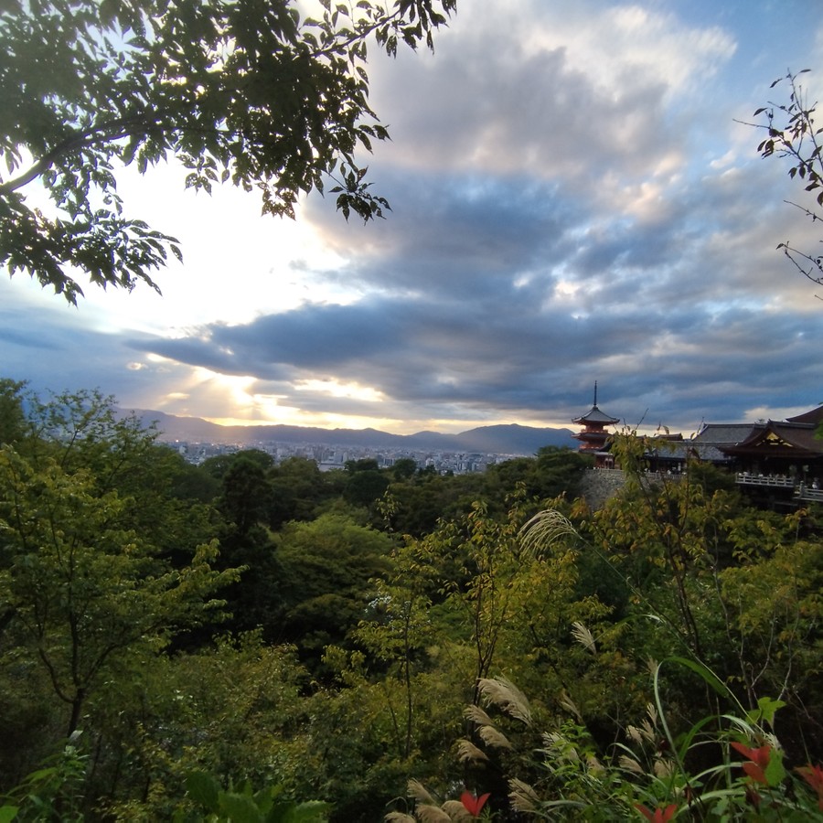 Гранд-тур в Японию: большое путешествие от Токио до Осаки (3/7)