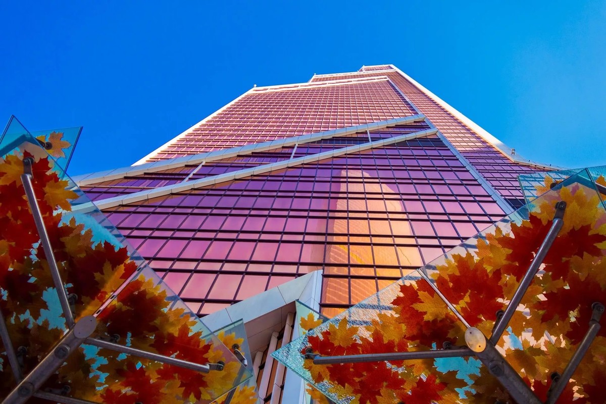 Идеи стеклянной архитектуры на прогулке по «Москва-Сити». Индивидуальная экскурсия (7/7)