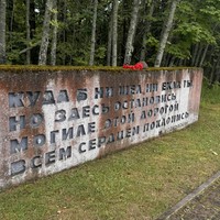 reviews img