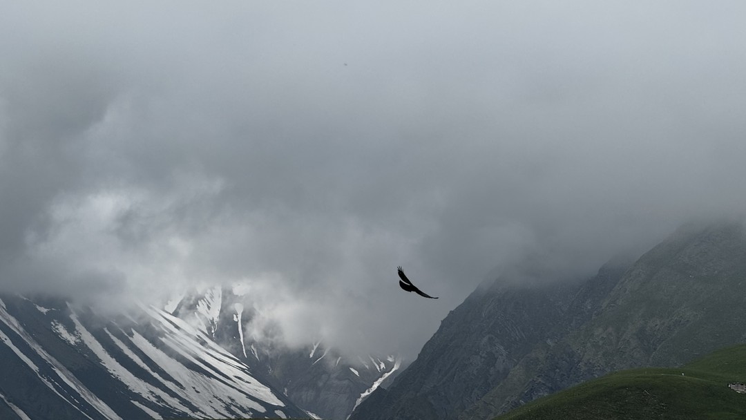 Большое спасибо ребятам за организацию такого шикарного тура! Все было очень грамотно организовано, много чего сделали
