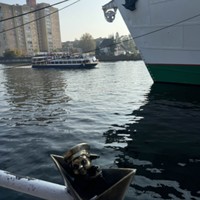 reviews img