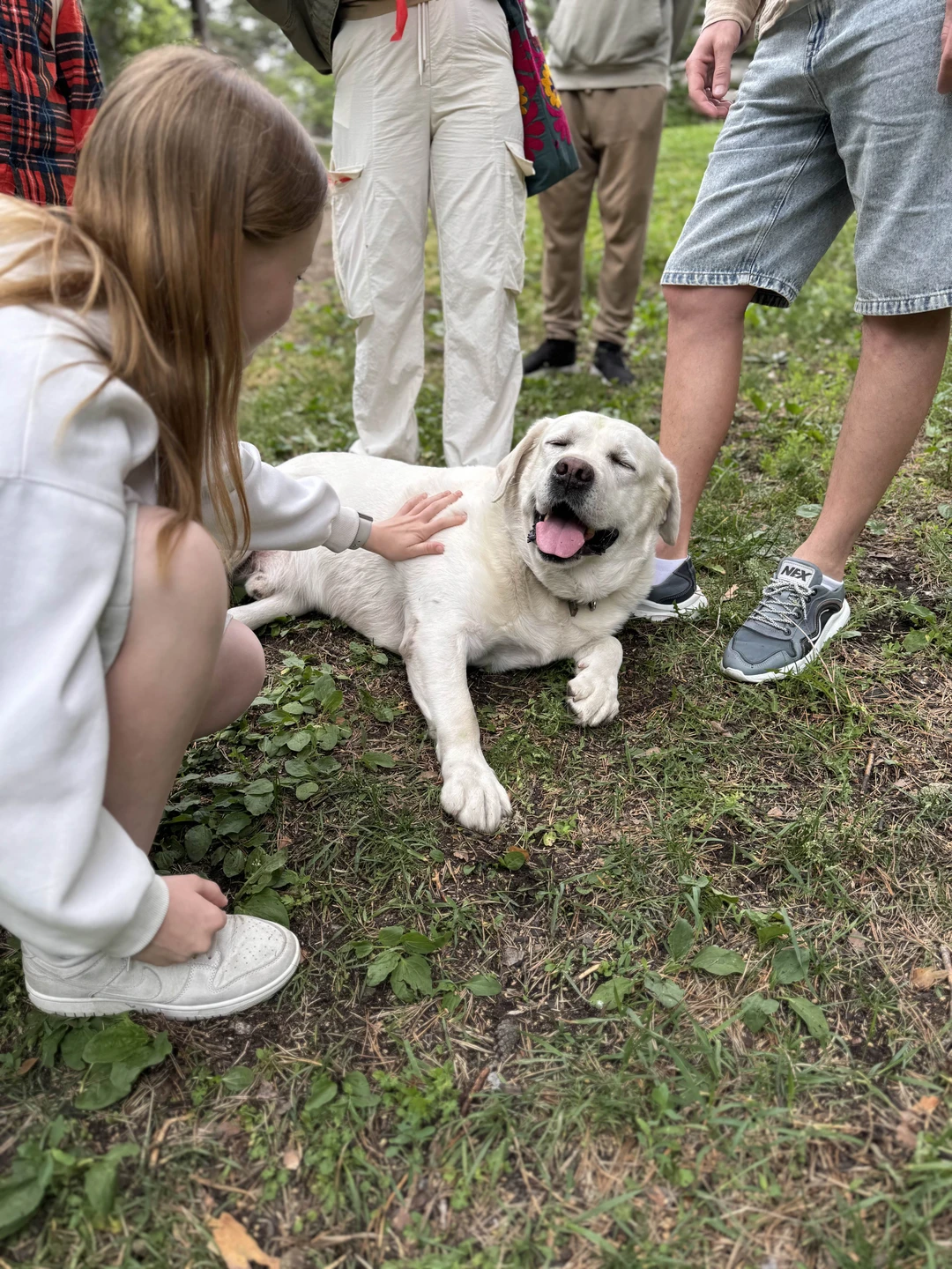 Однозначно экскурсия для тех, кто без ума от собак! Лабрадор Лаврентий заряжает положительными эмоциями уже в