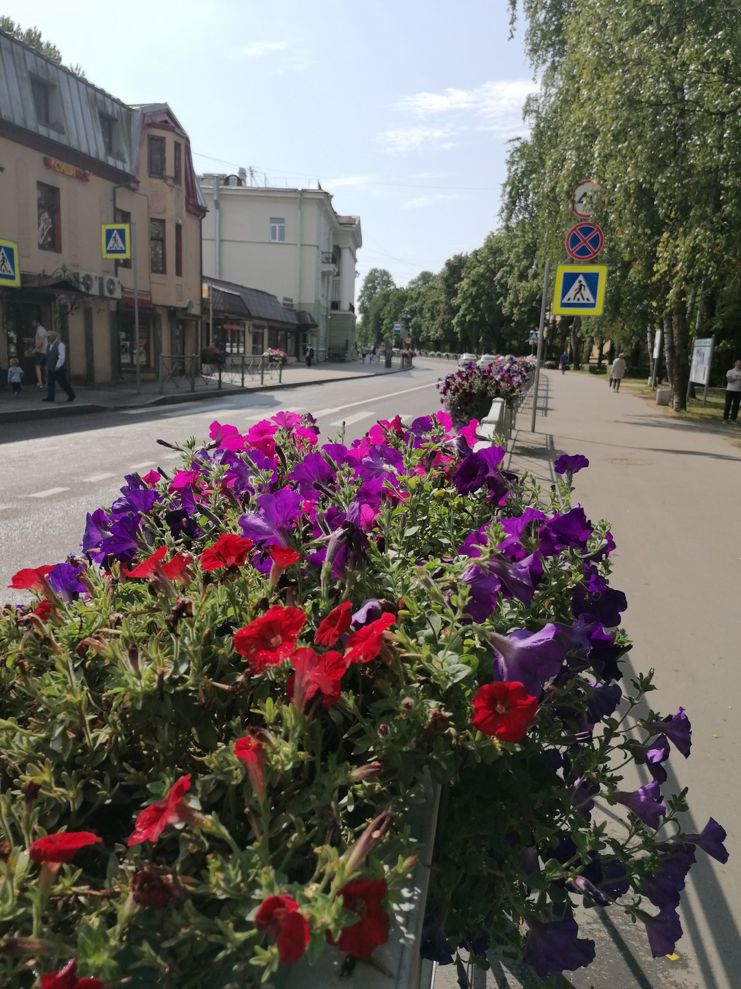 Зеленогорск сквозь эпохи (Наталья)