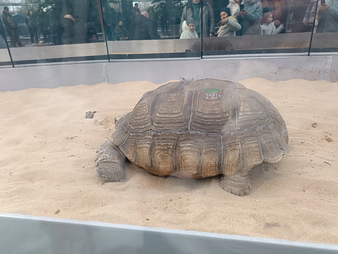 Валерия, спасибо еще раз за впечатляющую экскурсию! Маршрут продуман идеально. Интересный, увлекательный рассказ экскурсовода о инсталляциях