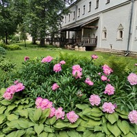 Фото отзыва 2: экскурсия "Суздаль: очевидный и невероятный!"
