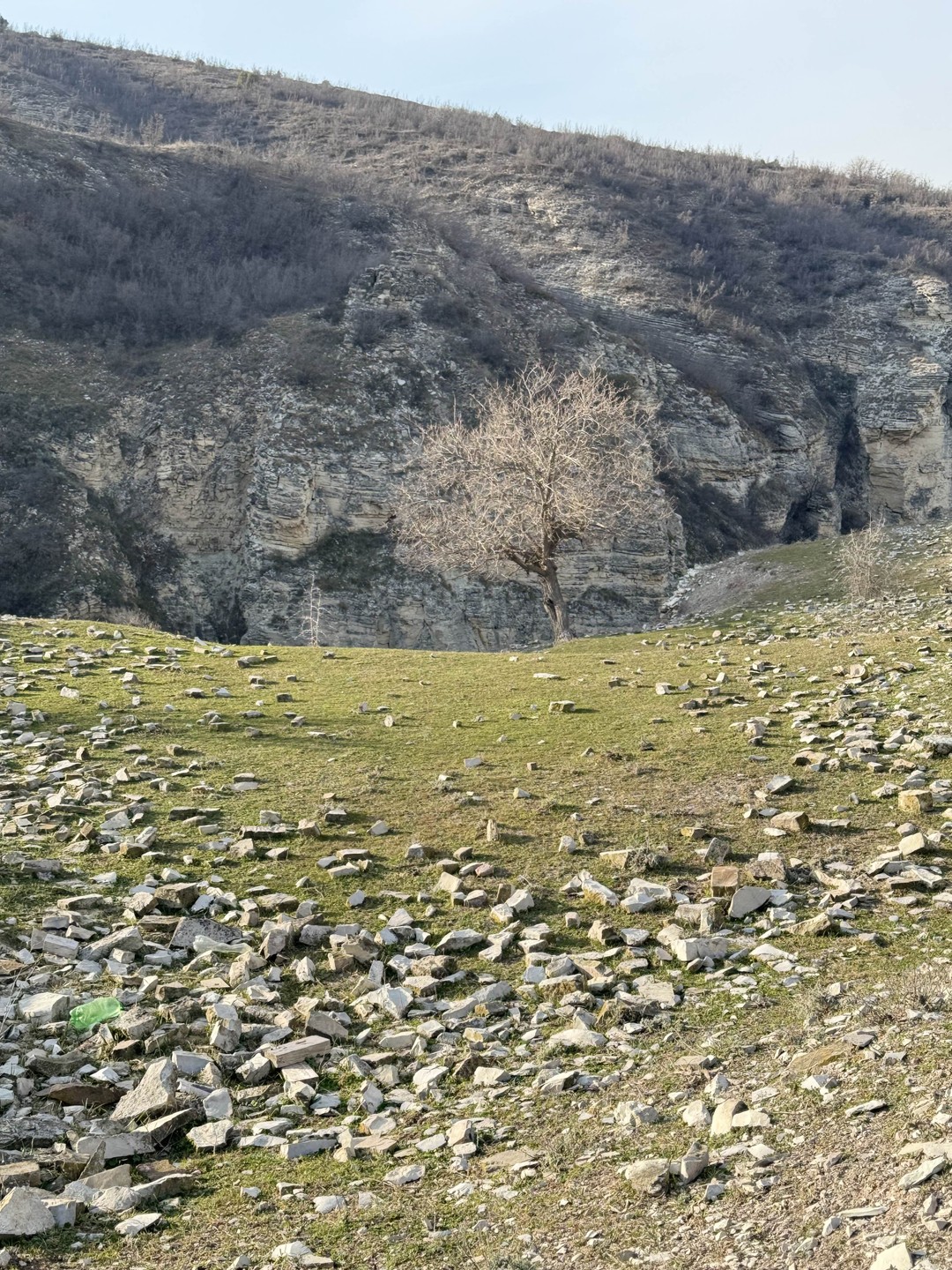 Гасан показал нам потрясающие знаковые природные шедевры Дагестана. Интересный контент и подача исторических фактов. Отличная организация