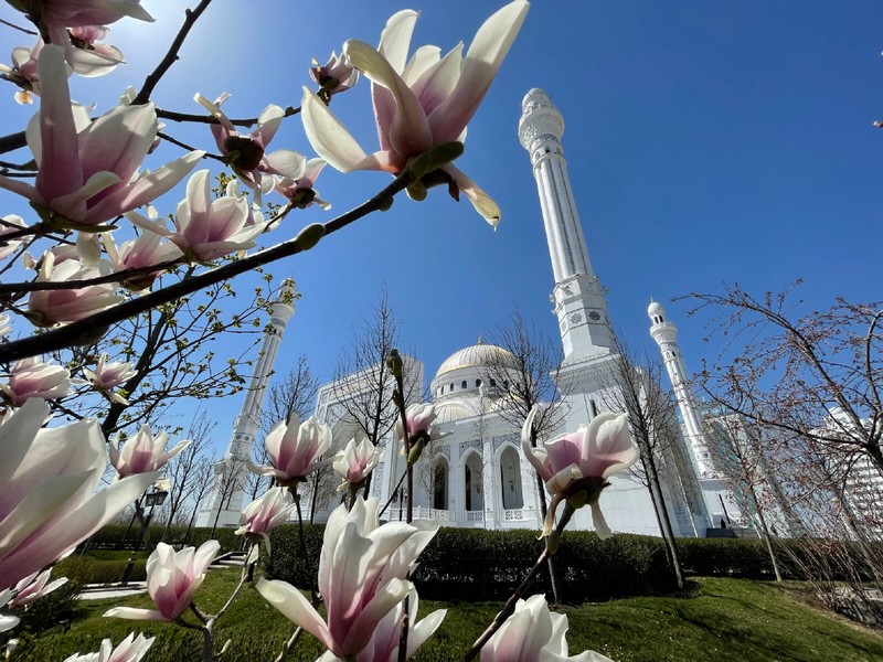 Влюбиться в Грозный за один день