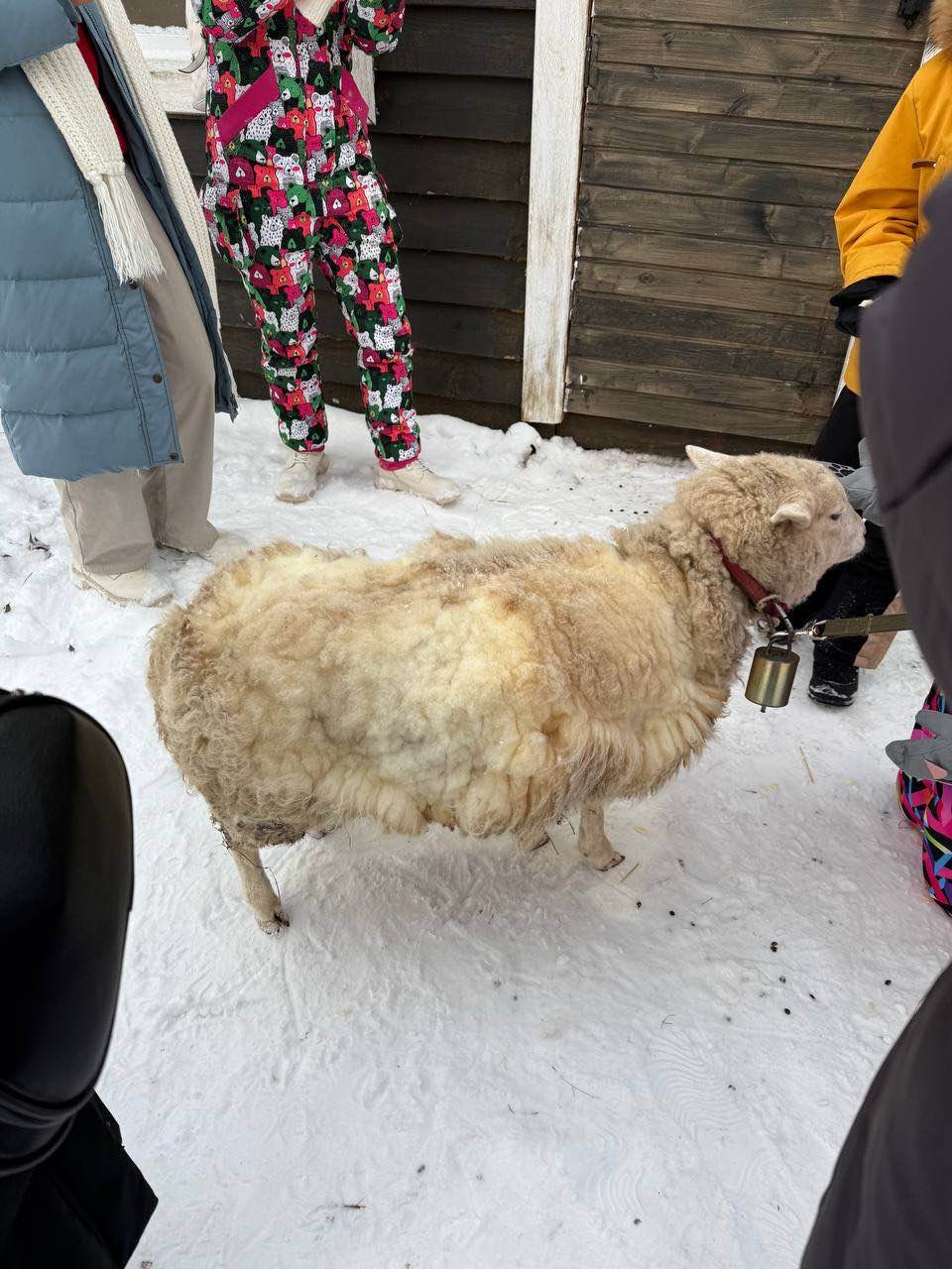 Мастер-класс рекомендуем всем! Оксана - влюбленный в свое дело человек и увлекает им всех без исключения