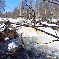 Фото отзыва 1: экскурсия "Кольский фьорд и великолепие водопадов"