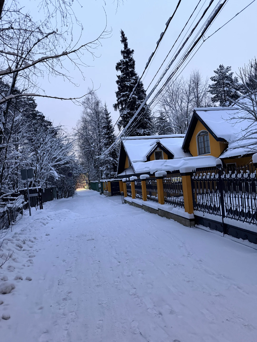 Литературное Переделкино (Елена)