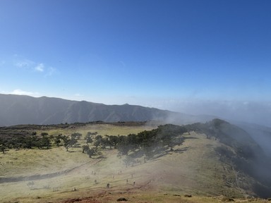 Фото отзыва 1: экскурсия "Первозданная природа западной Мадейры"
