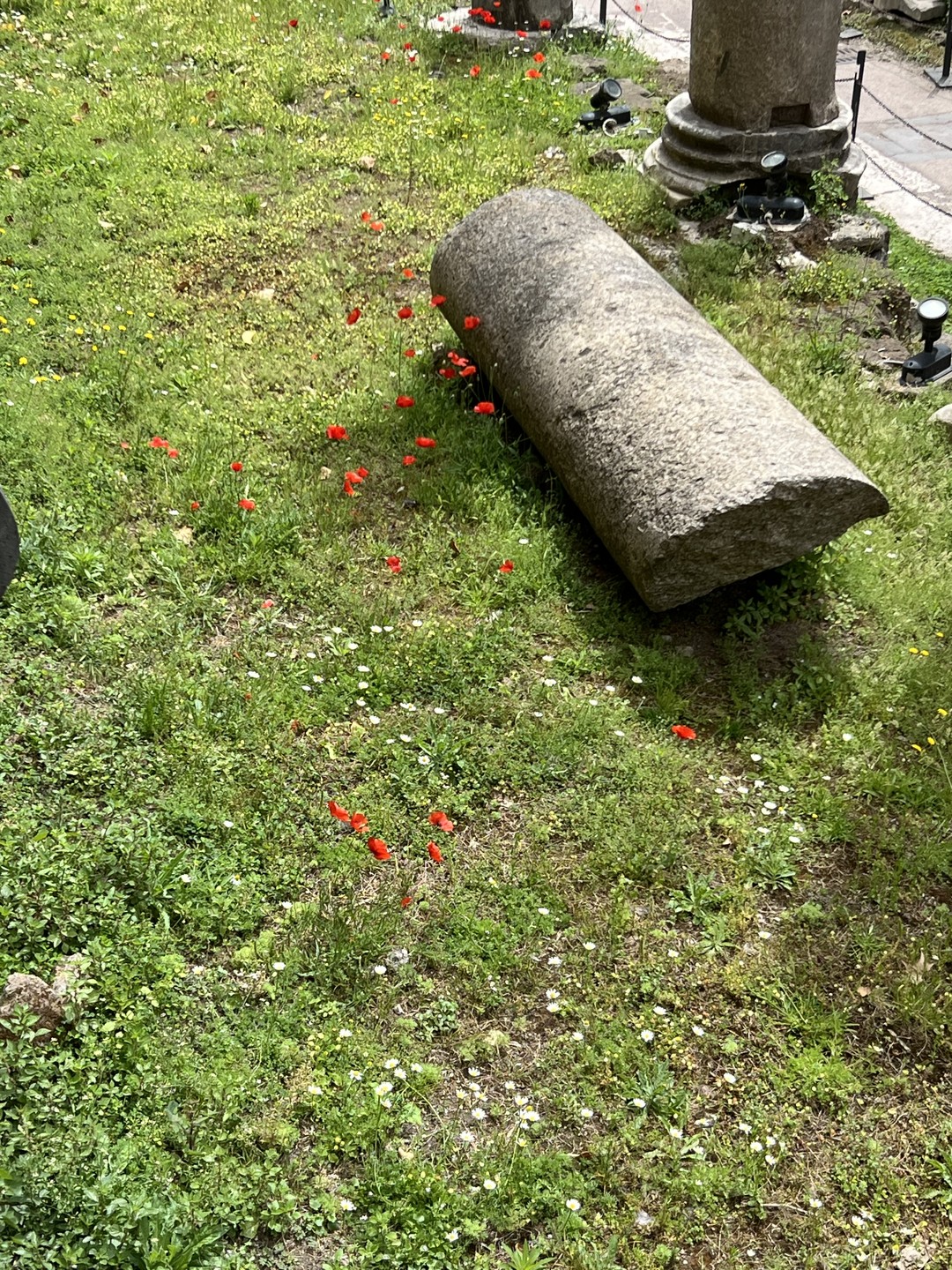 Очень понравилась экскурсия со Светланой. Не смотря на то, что Рим - город с огромным историческим