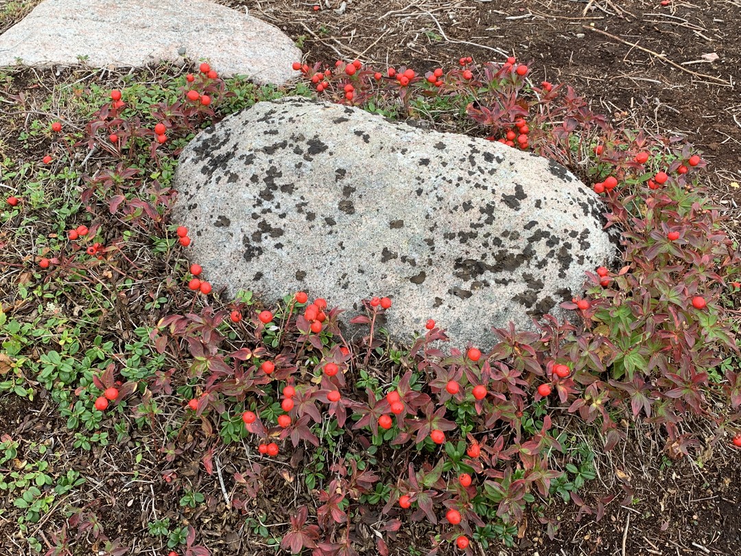Замечательная экскурсия! Благодарны нашему гиду Роману за то, что показал нам красивейшие места, рассказал много интересного