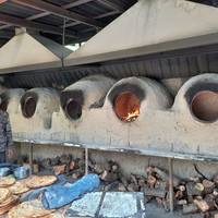 Фото отзыва 3: экскурсия "Из Ташкента  —  в Институт Солнца и лес Сукок!"