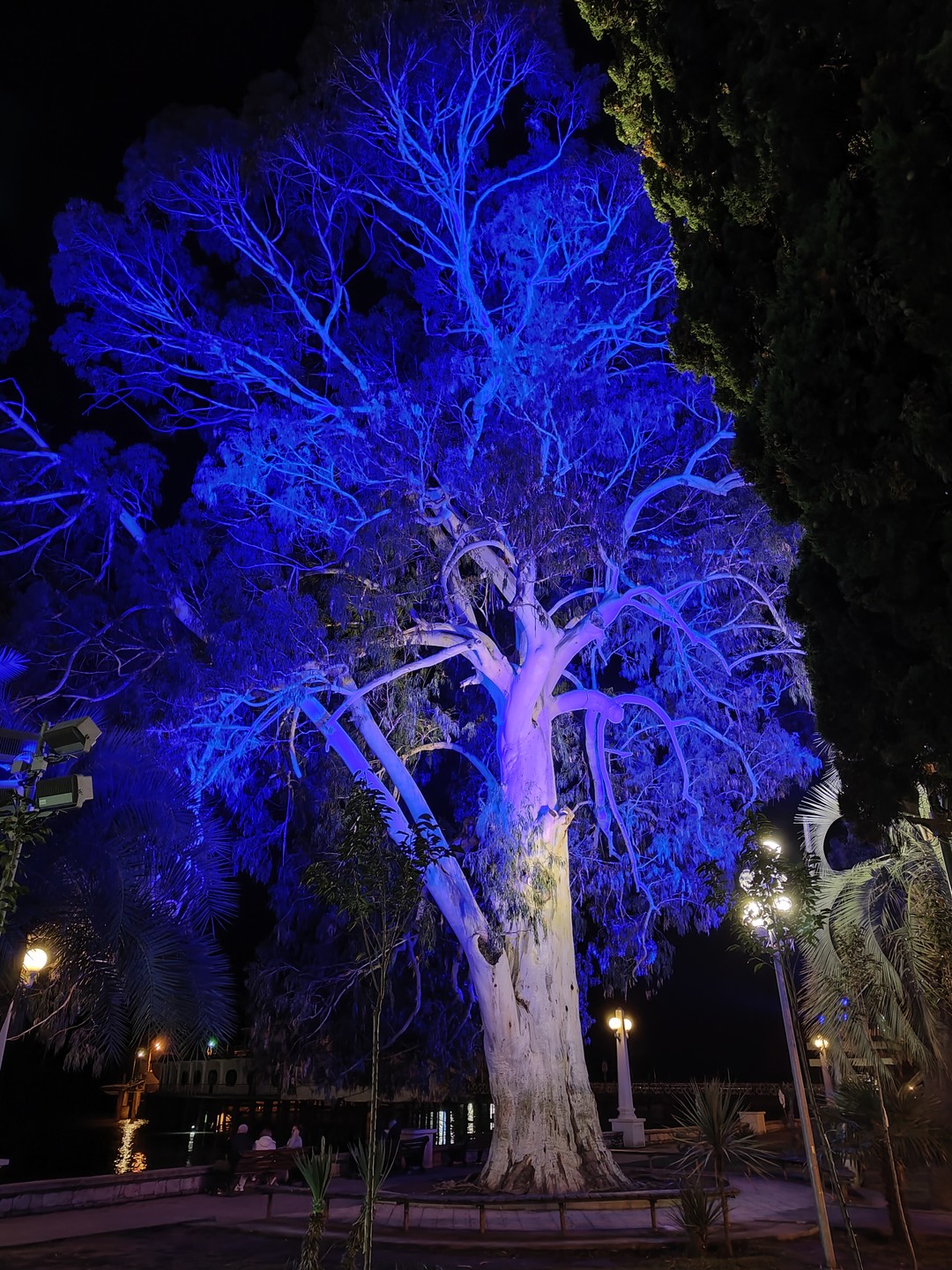 Шота просто 🔥, а не гид. Ненапряжный, эрудированный и оооочень комфортный в плане общения. 100 из