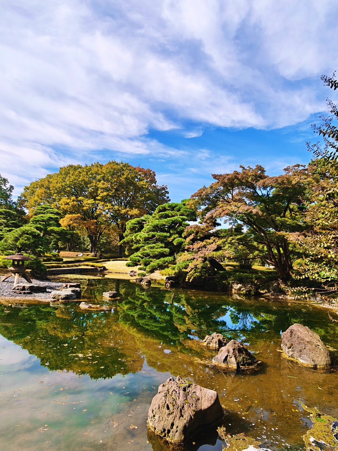 Разнообразный Токио за 5 часов (Юлия)