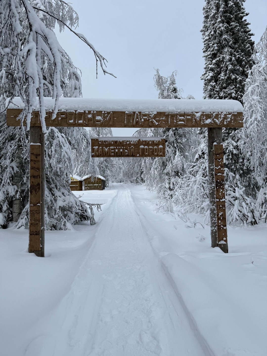Наконец, добрались домой. Пришло время отзыва