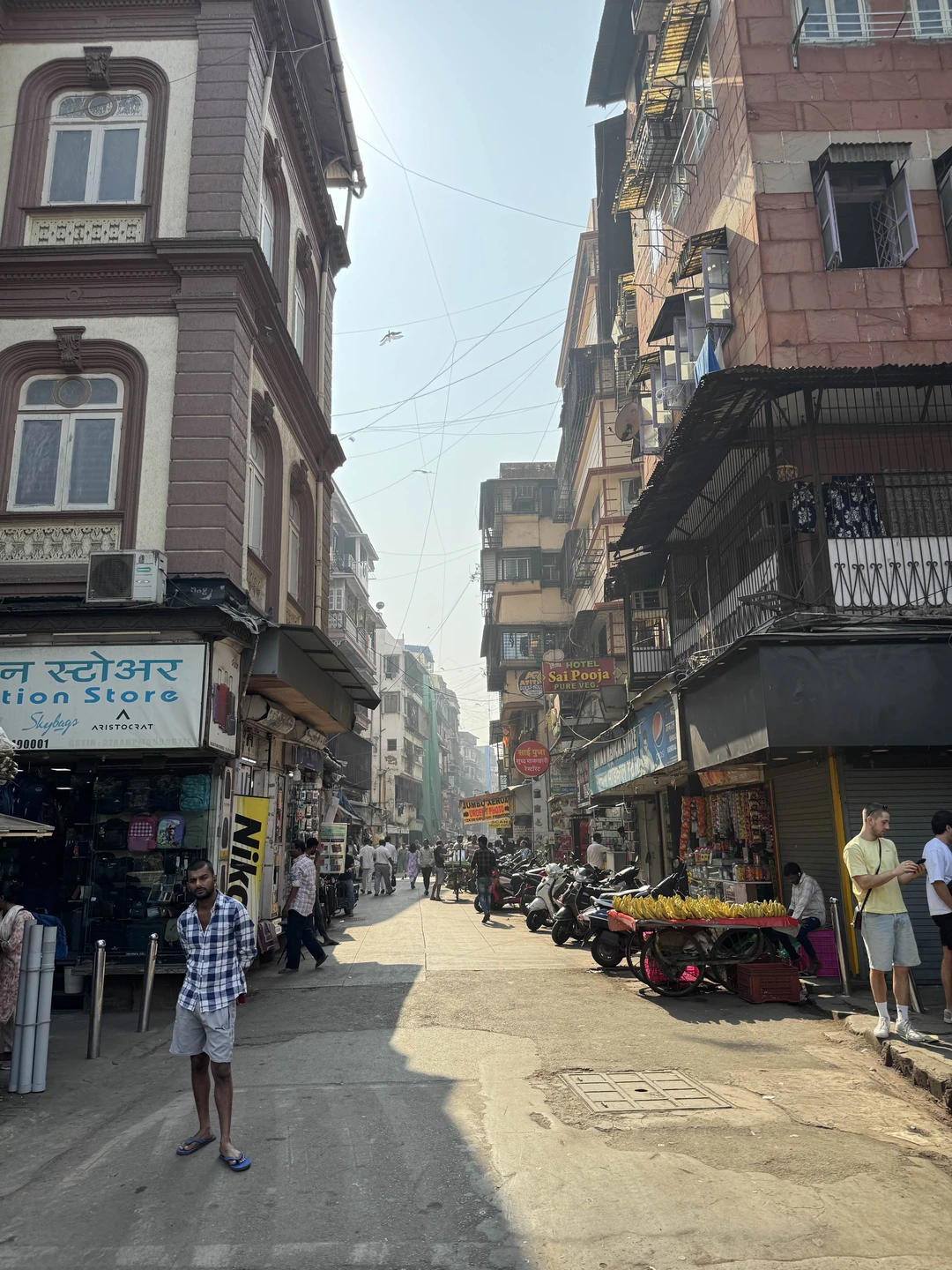 Однозначно рекомендую посетить Мумбаи! Нам удалось сделать это одним днём: утром мы прилетели из южного Гоа