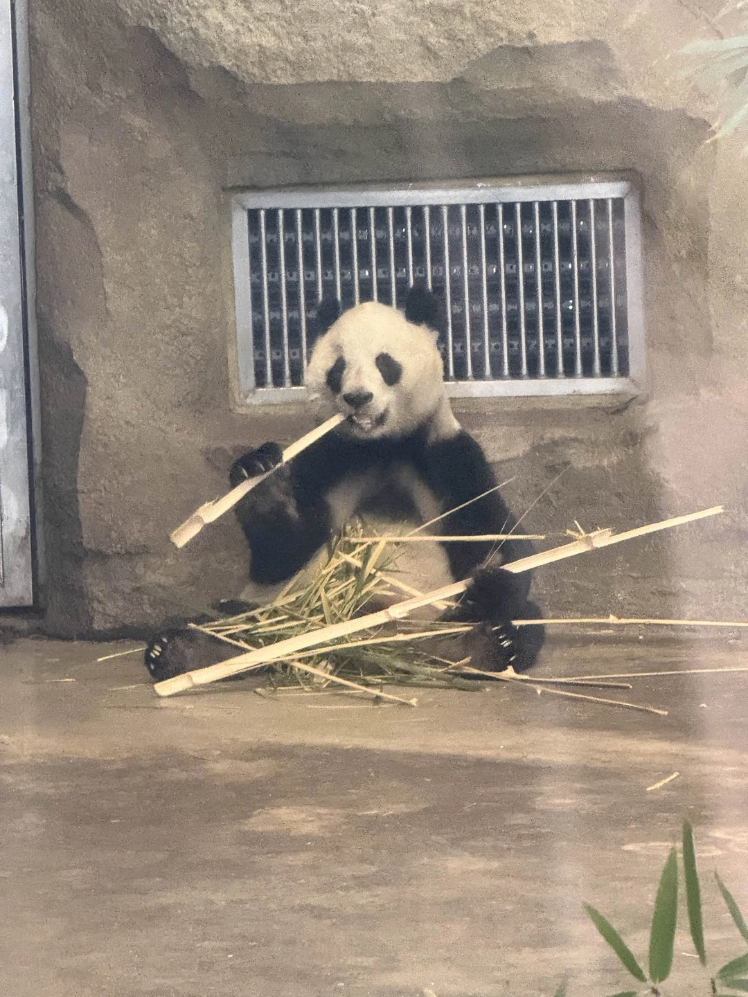Огромное спасибо за проведенную экскурсию) Отличный автобусик, который прекрасно вместил и нас и багаж. Экскурсовод Ксюша