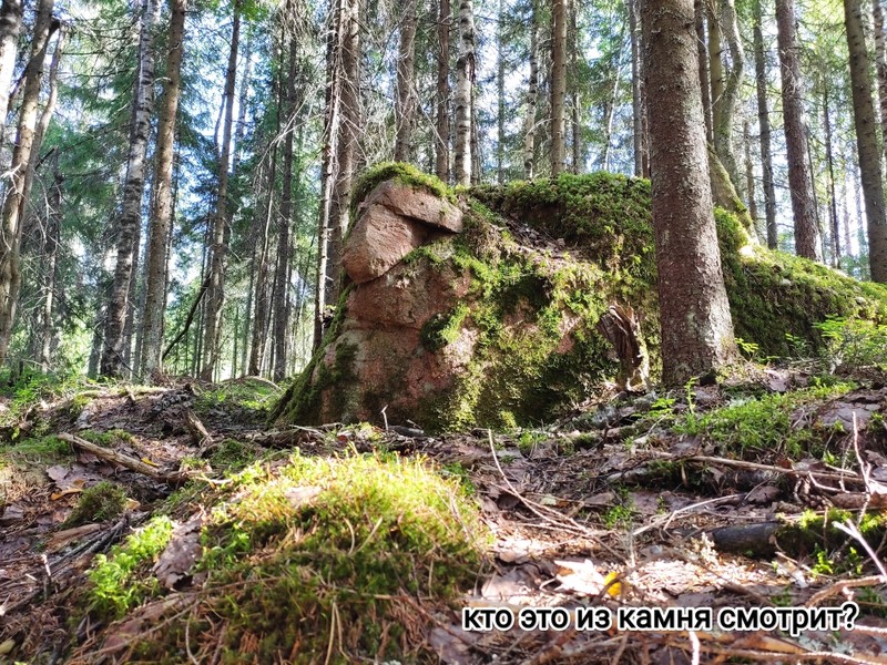 Фото экскурсии 7