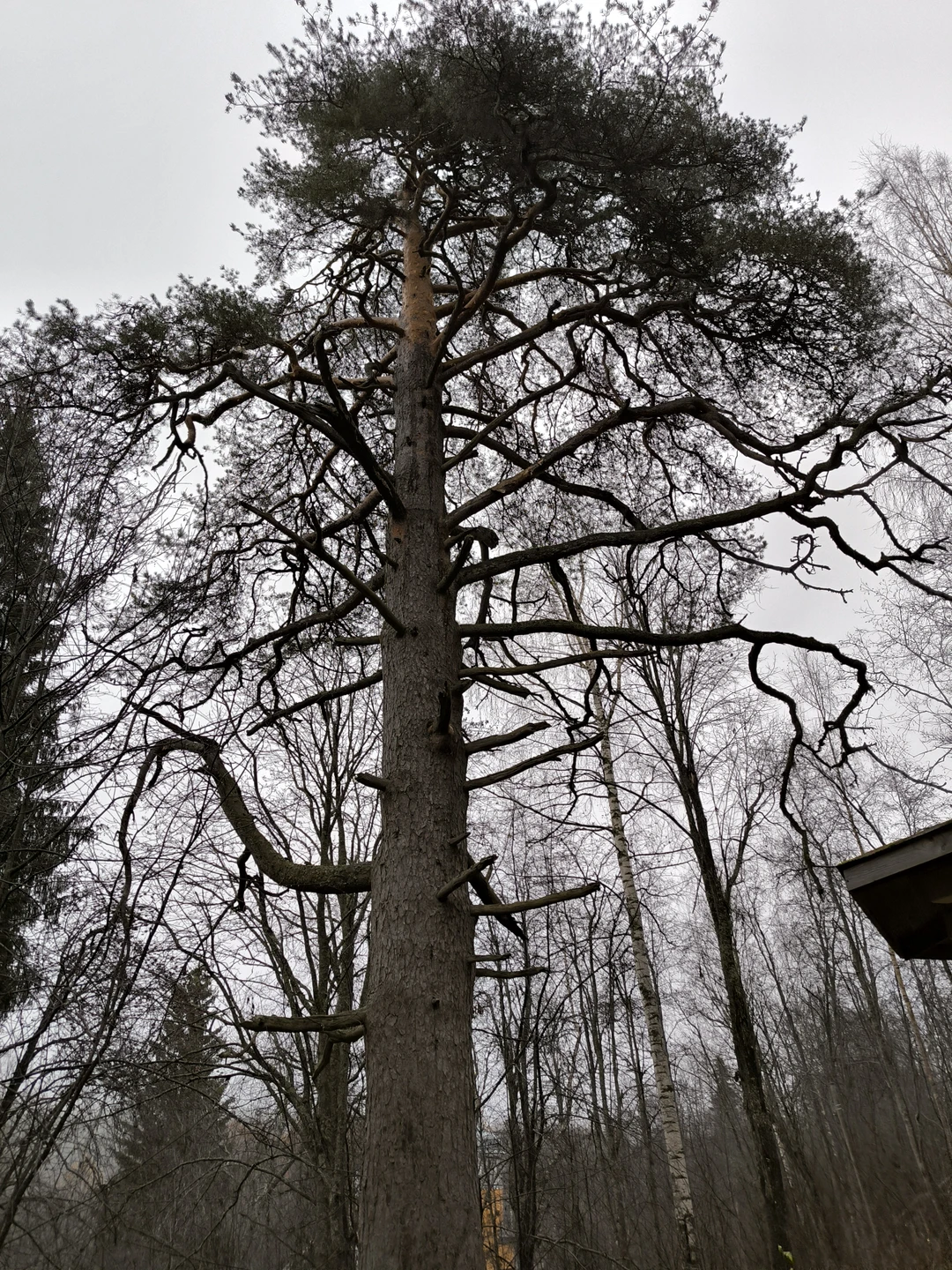 Спасибо за интересную и познавательную экскурсию. Было очень интересно, много узнали нового. Отдельное спасибо за чай с калитками