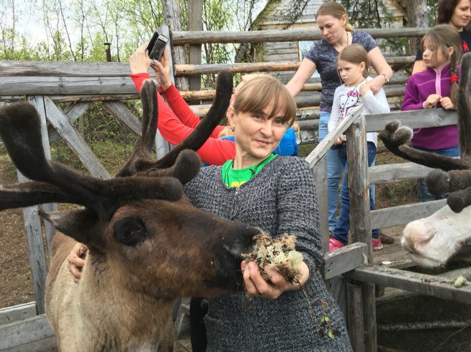 Фото Зов саамского бубна