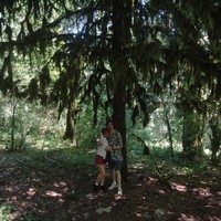Фото отзыва 1: экскурсия "Каньон Псахо: природное чудо и одно из лучших мест для фотосессий"