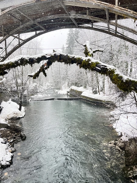 Впервые побывали в Абхазии, спасибо гиду Гамлету за интересную экскурсию, было много информации про историю Абхазию
