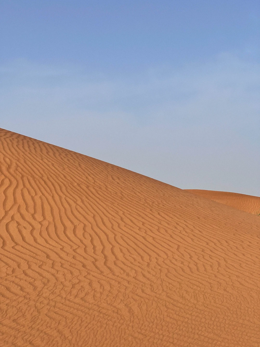 По эмиратам: Шарджа, Аджман, Умм-аль-Кувейн, Рас-эль-Хайма и Фуджейра (Evgeniia)