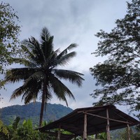 reviews img