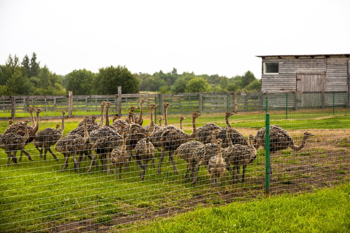 Неизведанная Печорская сторона (на вашем авто)