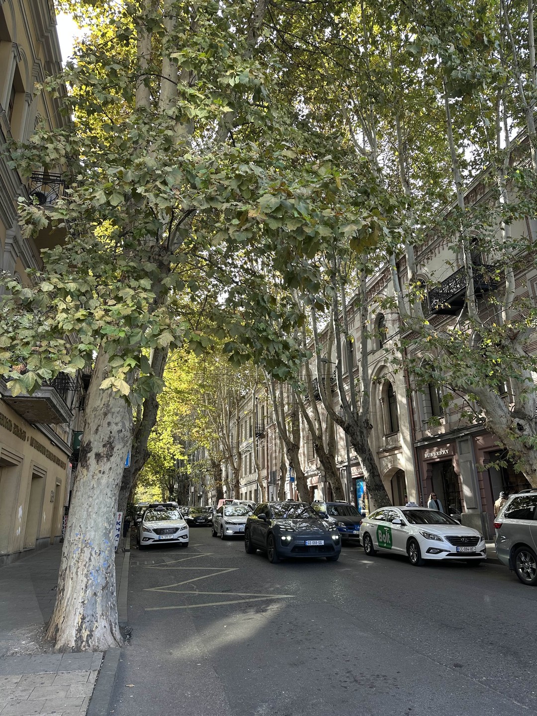 Понравилось все на 100%. Красивый маршрут, живые интересные рассказы, приятная красивая женщина Мария. Очень колоритная, вкусная