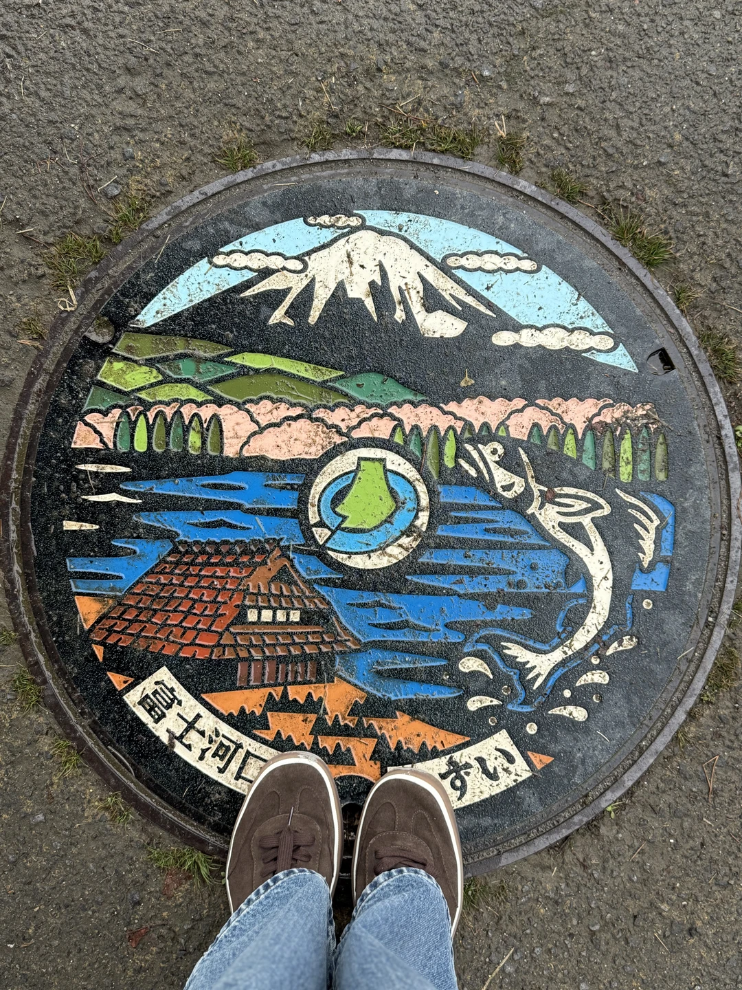 Ольга, огромное Вам спасибо за экскурсию. Поездка к Фудзи надолго останется в моей памяти