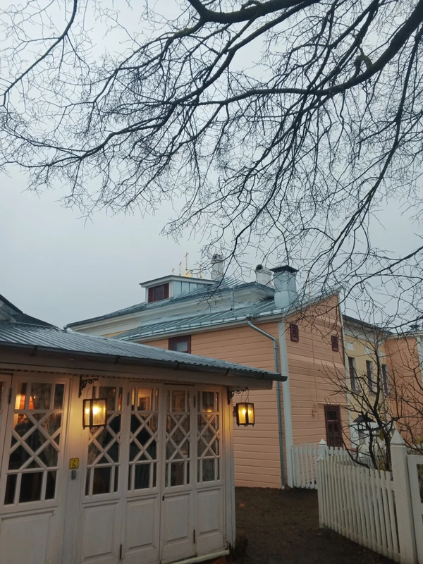 Коломна купеческая и сосисоши по рецепту 19 века